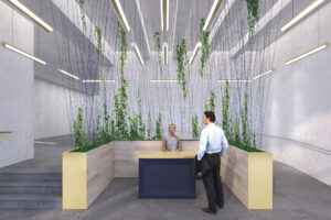 Lobby Rendering