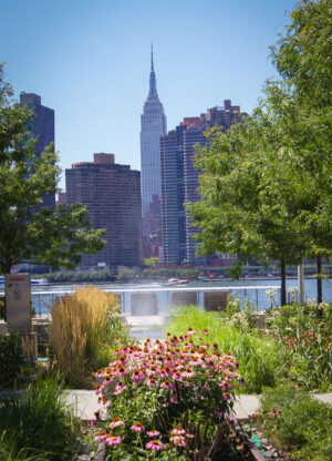 Green Space on Long Island City near the Cardinal Building