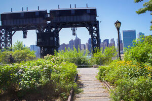 Take a stroll outside of Hunter's Point and enjoy the Green Space of Queens
